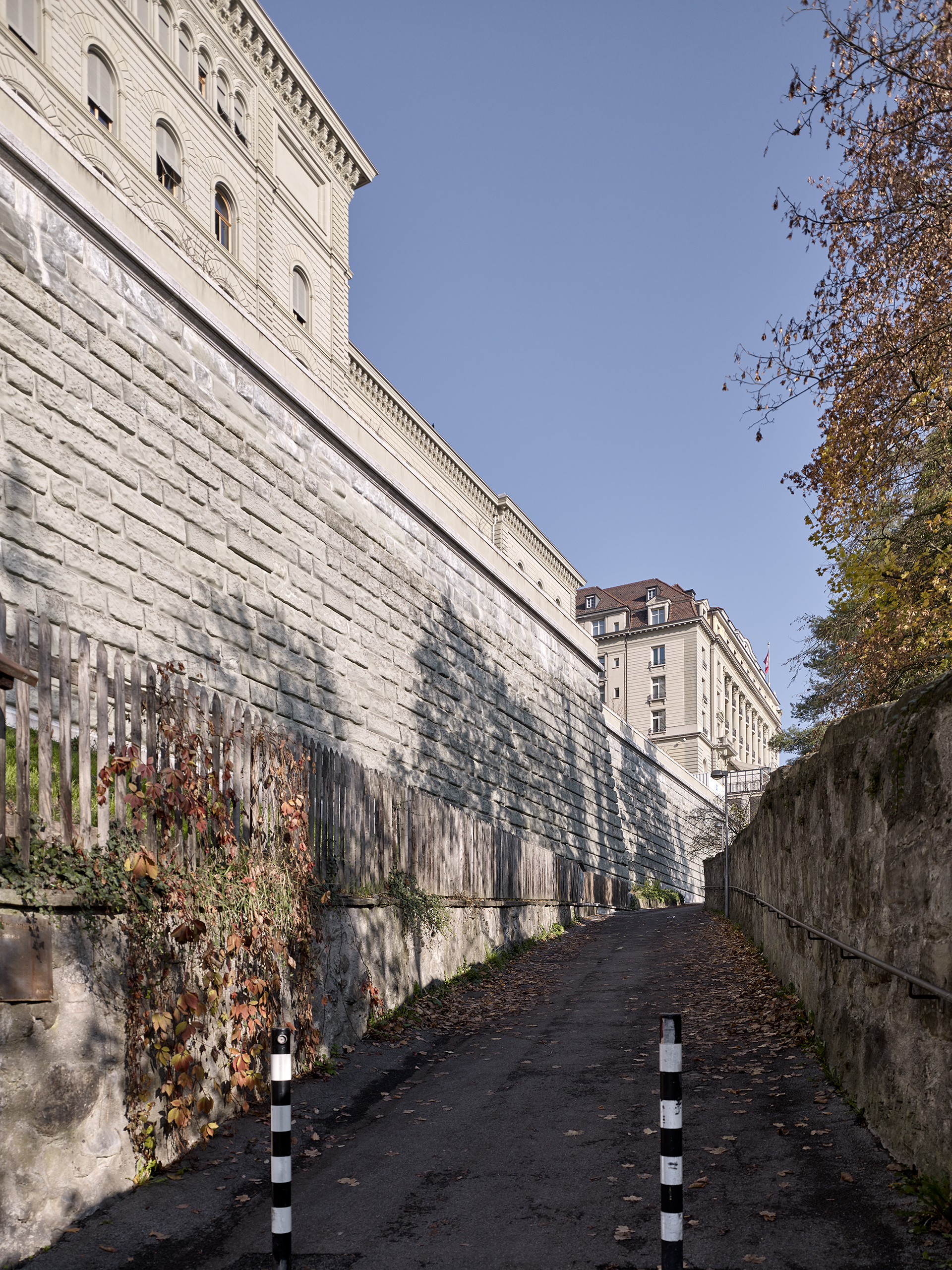 E18694 Alpa 081949 SCREEN